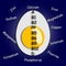illustration -Vitamins in boiled egg Ð,Ð’1,Ð’2,PP,Ð’5,Ð’6,Ð’9,Ð’12,D,Ð•,Ðš. Trace elements - Potassium, Calcium, Iron, Sodium, Ma